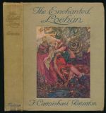 The enchanted lochan: stories of Celtic mythology